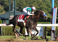 arrogate_travers01