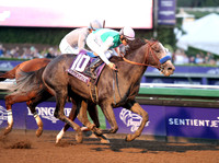 arrogate_BC_classic04