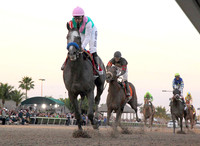 arrogate_pegasus09