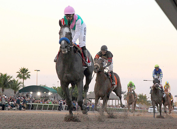 arrogate_pegasus09