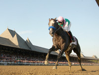 arrogate_travers08