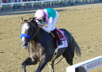 arrogate_travers06