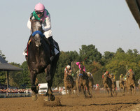 arrogate_travers10