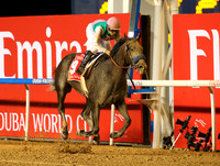 arrogate_dubai_wc05