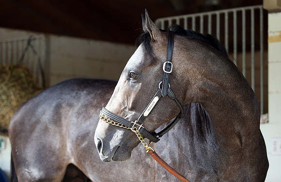 arrogate_port03
