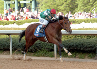 afleetalex_ark_derby10