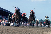 alysheba_derby04