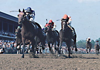 Alysheba
