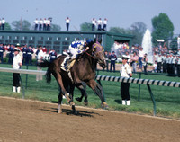 alysheba_derby06