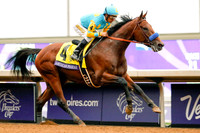 americanpharoah_bc_classic06