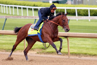 americanpharoah_work