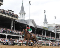 animalkingdom_derby01