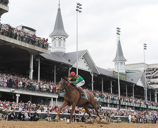 animalkingdom_derby01