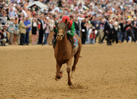 animalkingdom_derby02