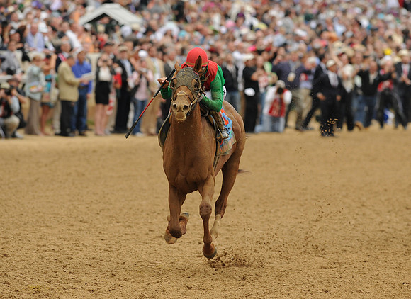 animalkingdom_derby02