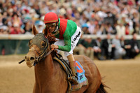 animalkingdom_derby03