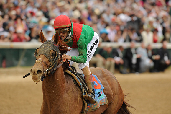 animalkingdom_derby03