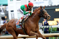 animalkingdom_derby04