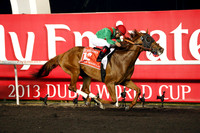 animalkingdom_dubai_wc