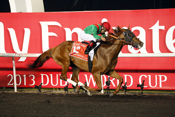 animalkingdom_dubai_wc