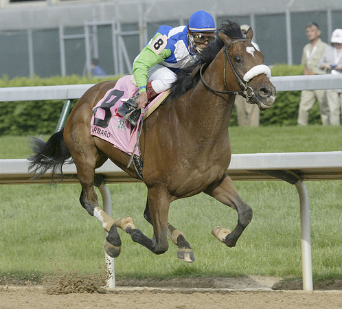barbaro_derby08