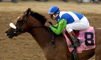 barbaro_derby10