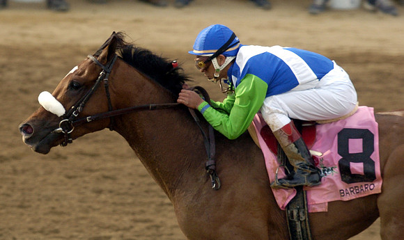 barbaro_derby10