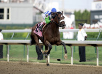 barbaro_derby09
