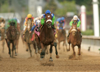 barbaro_derby06
