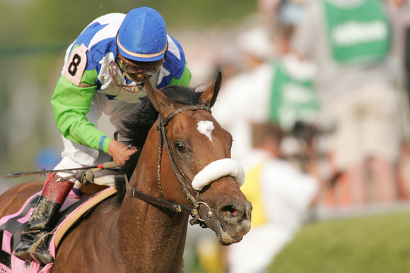 barbaro_derby12
