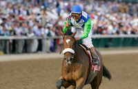 barbaro_derby11