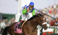 barbaro_derby13