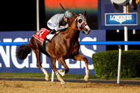californiachrome_dubai_wc02