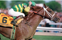 charismatic_preakness01