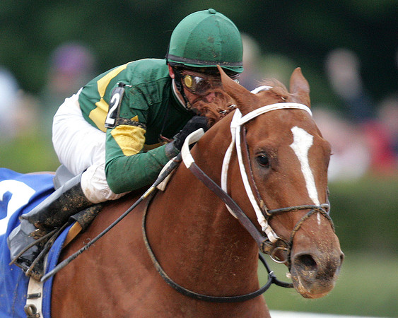 curlin_ark_derby01