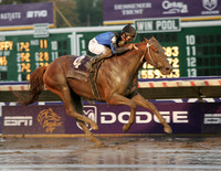 curlin_bc_classic03