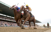 curlin_belmont01
