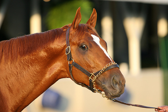 curlin_port01