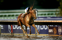 curlin_bc_classic02