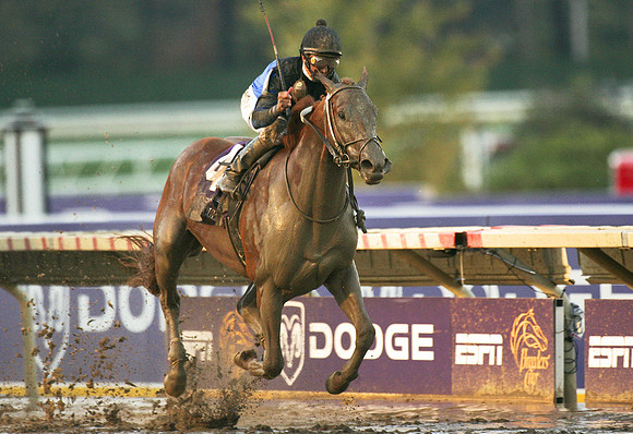 curlin_bc_classic01