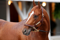 curlin_port02