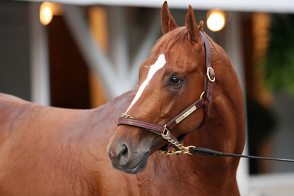 curlin_port02