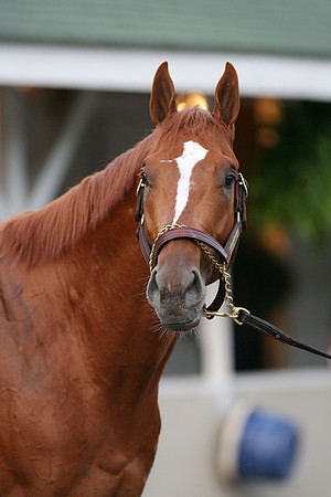 curlin_port03