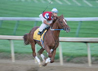 curlin_work02