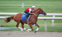curlin_work01