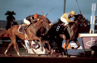 easygoer_bc_classic01