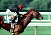 easygoer_belmont02