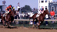 ferdinand_derby04