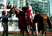 ferdinand_derby03