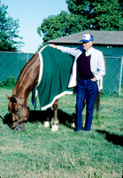 ferdinand_whittingham01